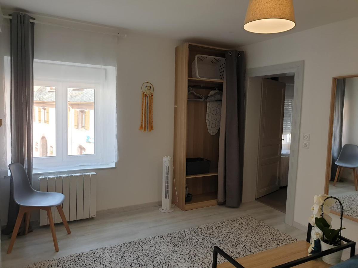 Le Terramon - Appartement 4 Personnes Orbey Eksteriør billede
